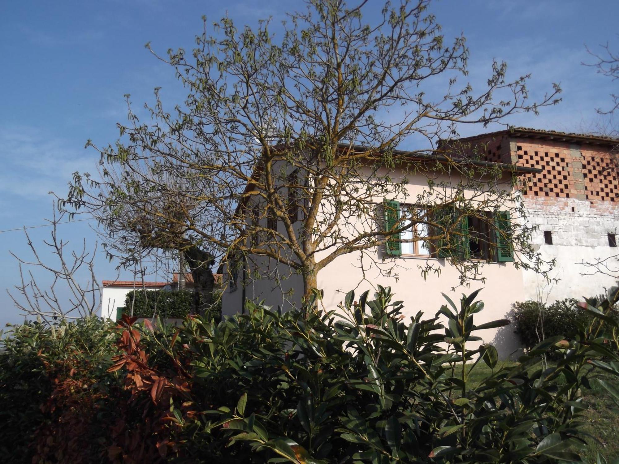 Agriturismo Le Caselle Cerbaia Номер фото