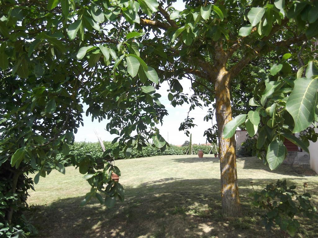 Agriturismo Le Caselle Cerbaia Номер фото